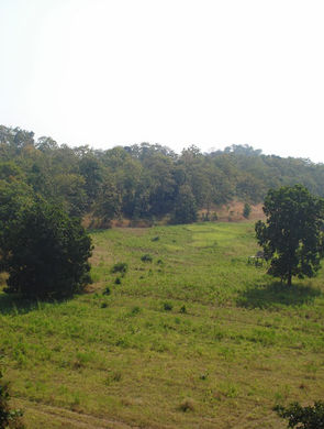 Scenic Melghat