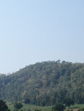 Melghat-a Hilly, Forest area