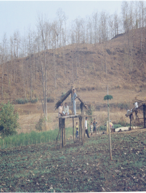A farm