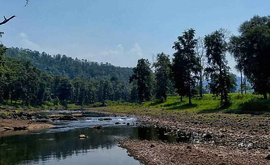 Melghat Landscape-2.jpg
