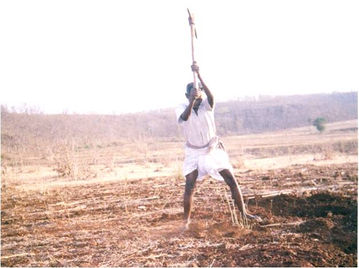 Picture5