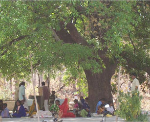 Waiting area in the Initial days