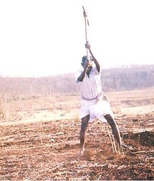 Picture5.jpg